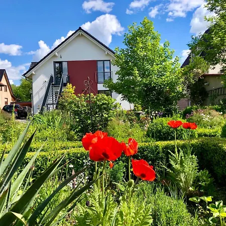 Kirschti ザルツヴェーデル