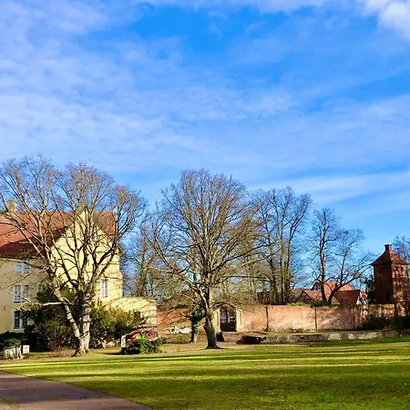 Kirschti ザルツヴェーデル